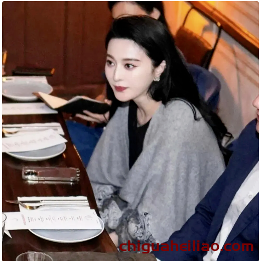 范冰冰43岁依旧迷人,东京聚餐风采无限