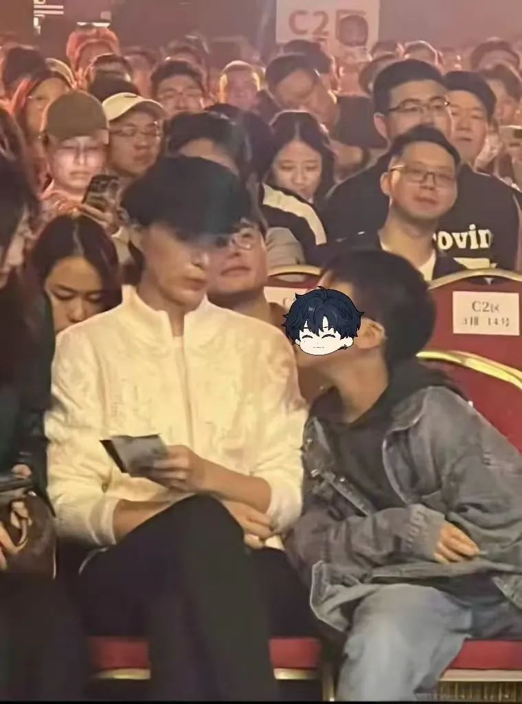 董卿母子刘谦演出现场,气质温婉颜值高